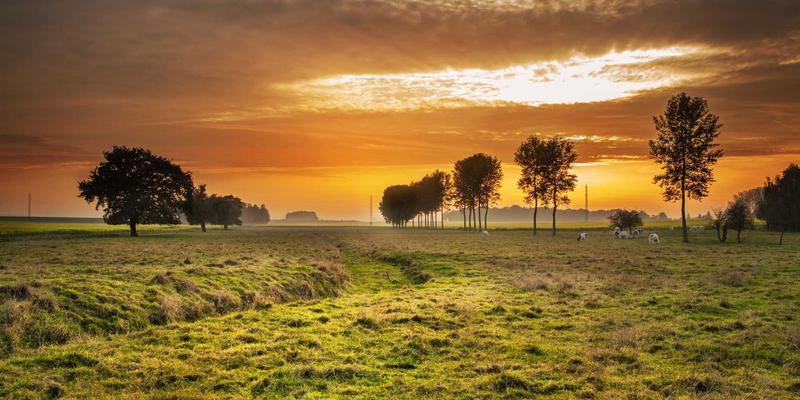 从雨刷养护到智能座舱:汽车内饰升级全攻略,打造健康、科技与个性的移动空间