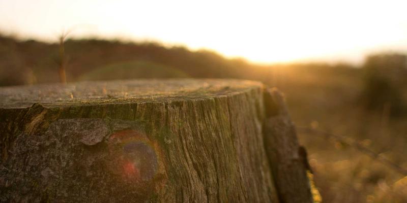 别等半路抛锚!汽车传动轴与半轴深度解析:前驱、后驱、四驱车型的更换信号与选购要点